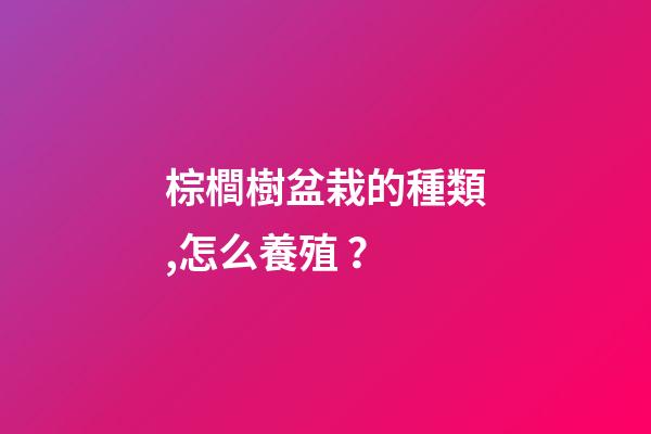棕櫚樹盆栽的種類,怎么養殖？
